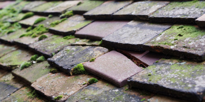 Mickleton roof repair costs